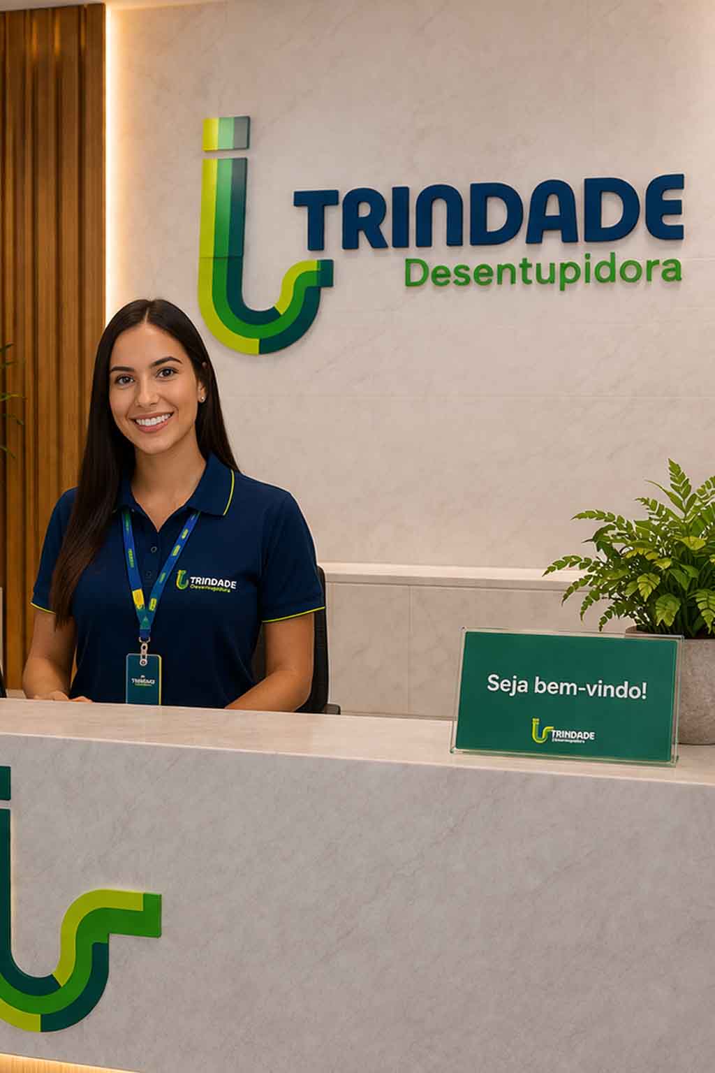 Desentupimento de Banheiro